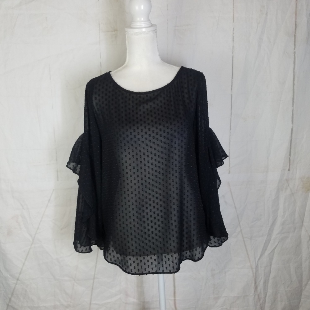 Ann Taylor ruffle long sleeve sheer top